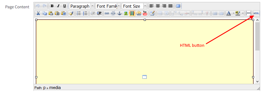 HTML button on the WYSISYG editor